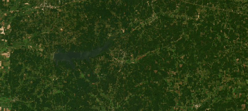 Satellite basemap of the case location