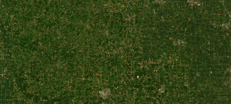 Satellite basemap of the case location
