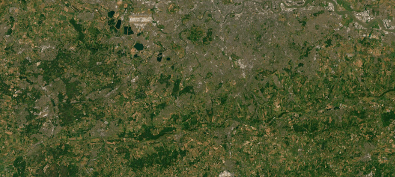 Satellite basemap of the case location