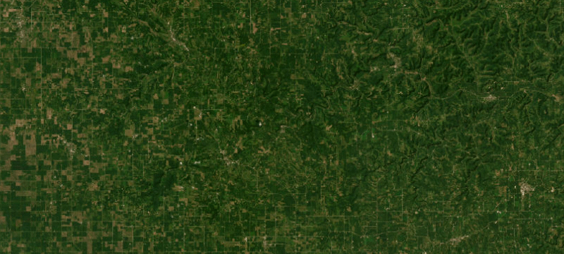 Satellite basemap of the case location