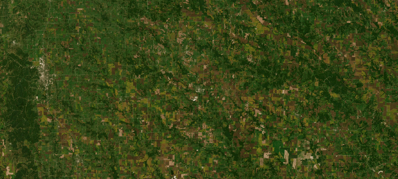 Satellite basemap of the case location