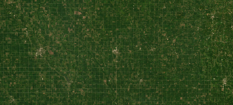 Satellite basemap of the case location