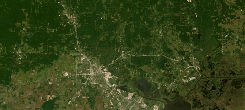 Satellite basemap of the case location