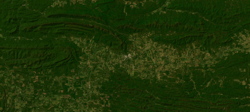 Satellite basemap of the case location