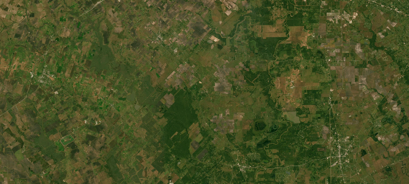 Satellite basemap of the case location