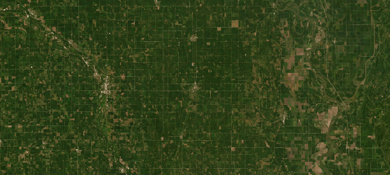 Satellite basemap of the case location