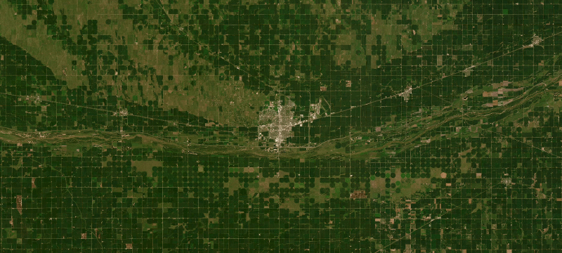 Satellite basemap of the case location