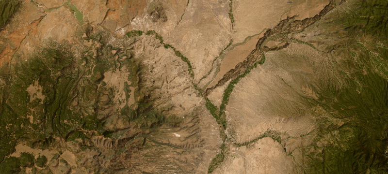 Satellite basemap of the case location