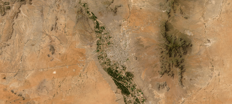 Satellite basemap of the case location