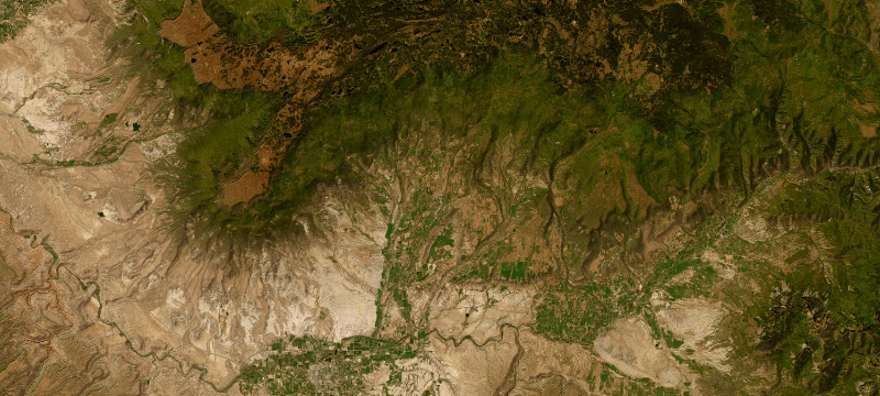 Satellite basemap of the case location