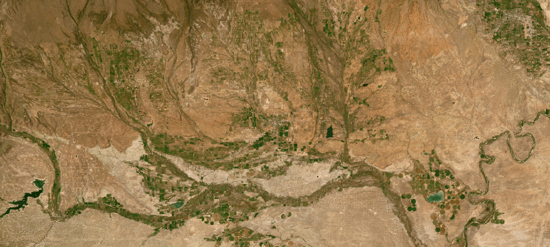 Satellite basemap of the case location