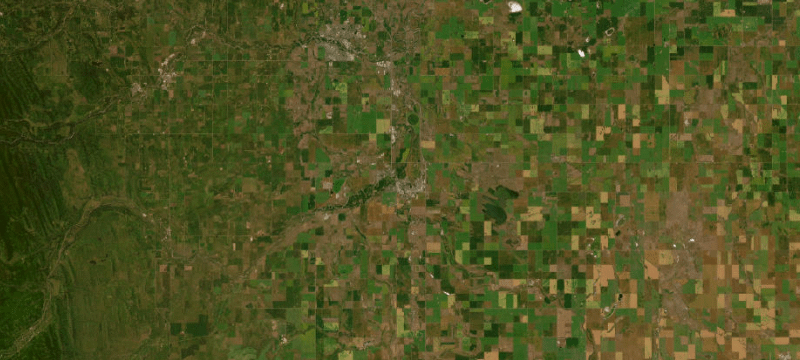 Satellite basemap of the case location