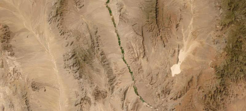 Satellite basemap of the case location