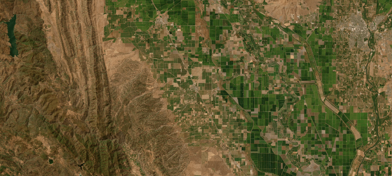 Satellite basemap of the case location