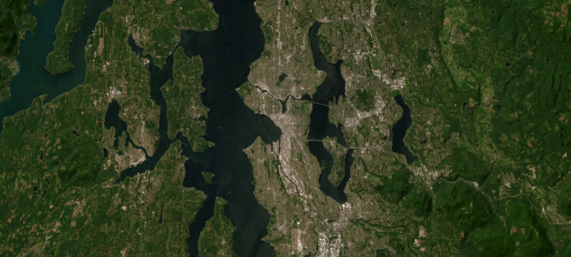 Satellite basemap of the case location
