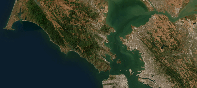 Satellite basemap of the case location