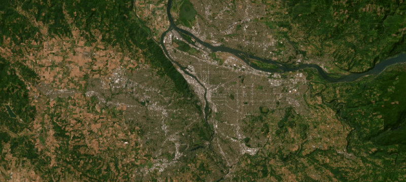 Satellite basemap of the case location