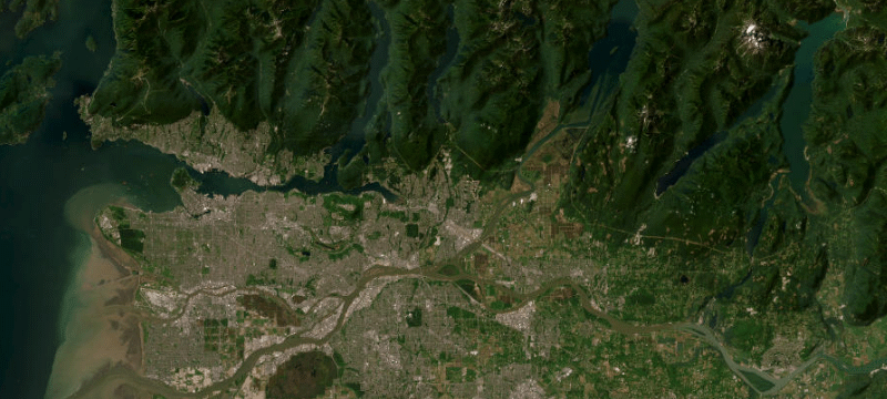 Satellite basemap of the case location