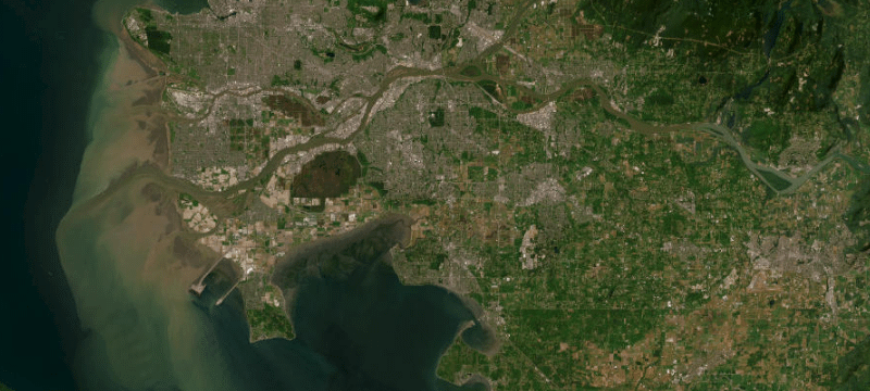 Satellite basemap of the case location