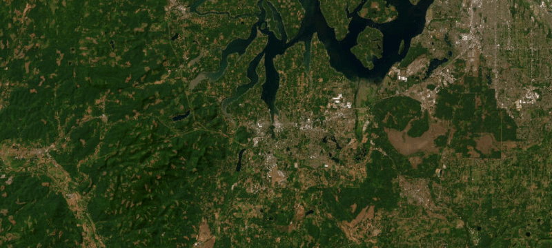 Satellite basemap of the case location