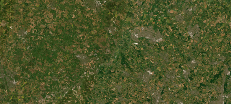 Satellite basemap of the case location