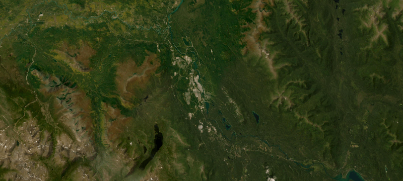 Satellite basemap of the case location