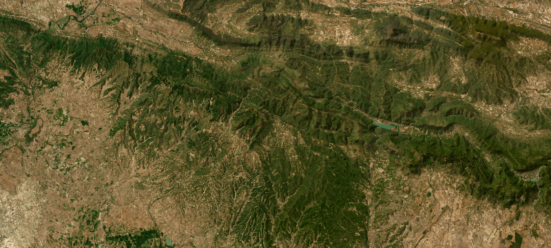 Satellite basemap of the case location