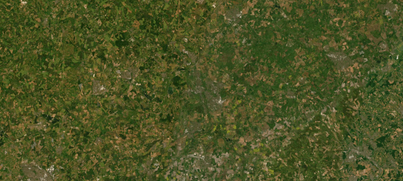 Satellite basemap of the case location