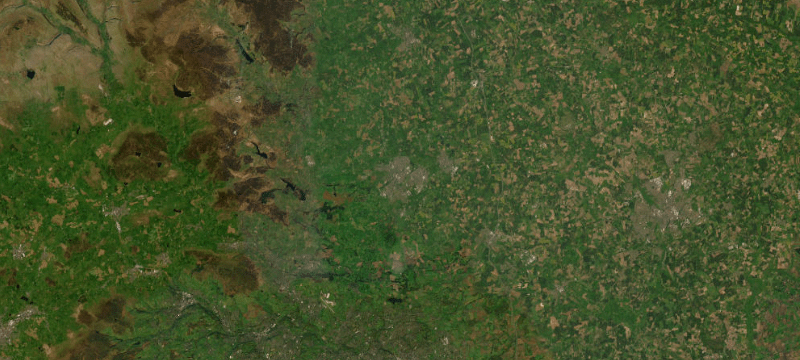 Satellite basemap of the case location