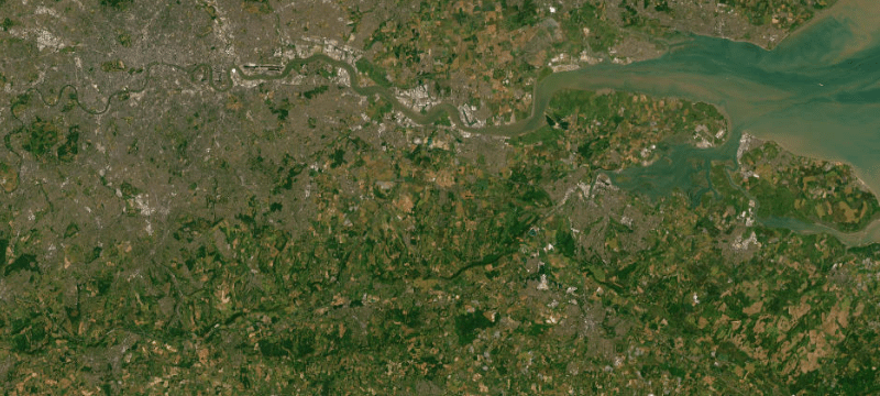 Satellite basemap of the case location