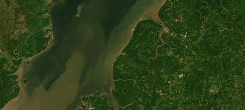 Satellite basemap of the case location