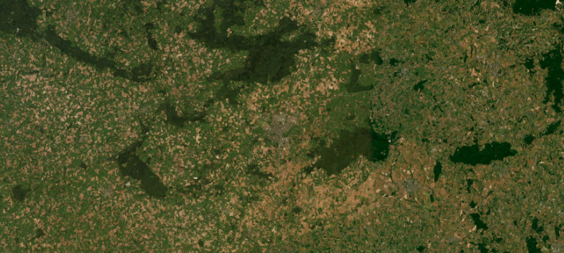 Satellite basemap of the case location
