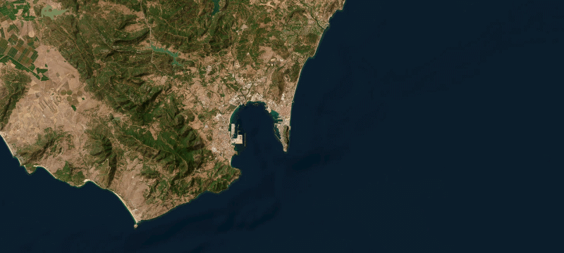 Satellite basemap of the case location