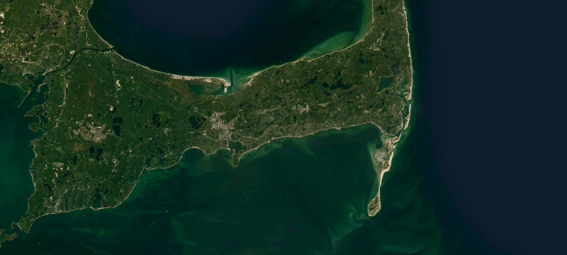 Satellite basemap of the case location