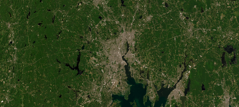 Satellite basemap of the case location