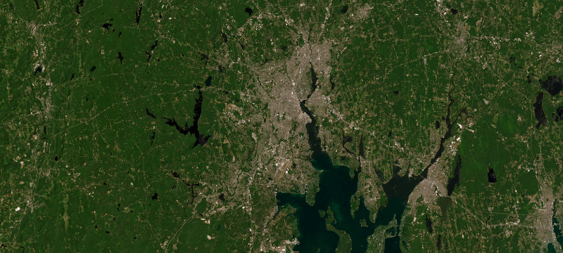 Satellite basemap of the case location