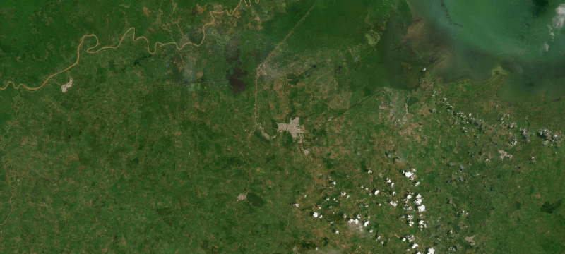 Satellite basemap of the case location