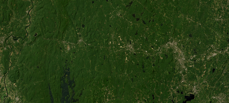 Satellite basemap of the case location