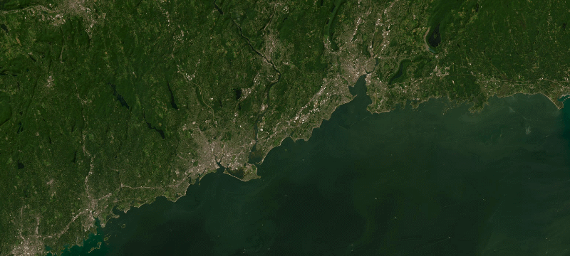 Satellite basemap of the case location