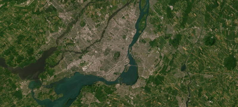 Satellite basemap of the case location
