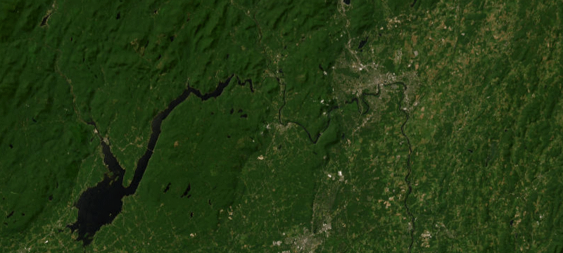 Satellite basemap of the case location