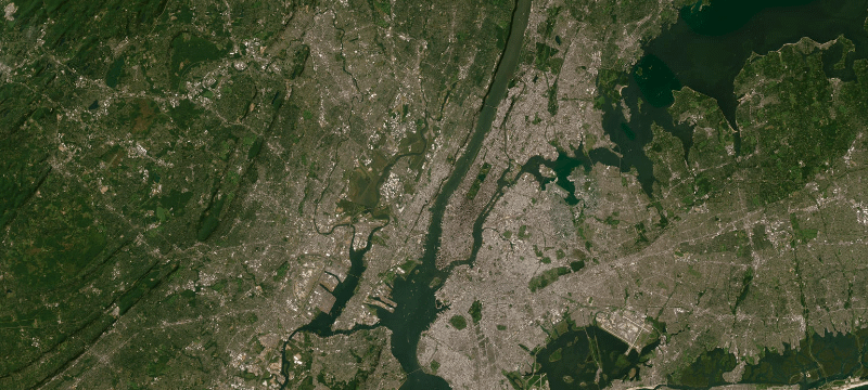 Satellite basemap of the case location