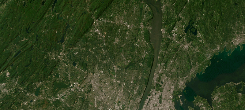 Satellite basemap of the case location