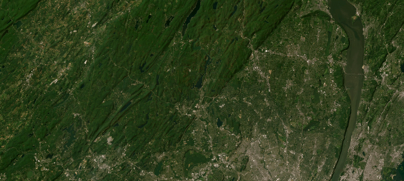 Satellite basemap of the case location