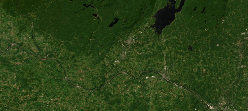 Satellite basemap of the case location