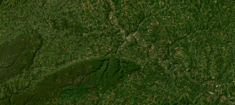 Satellite basemap of the case location