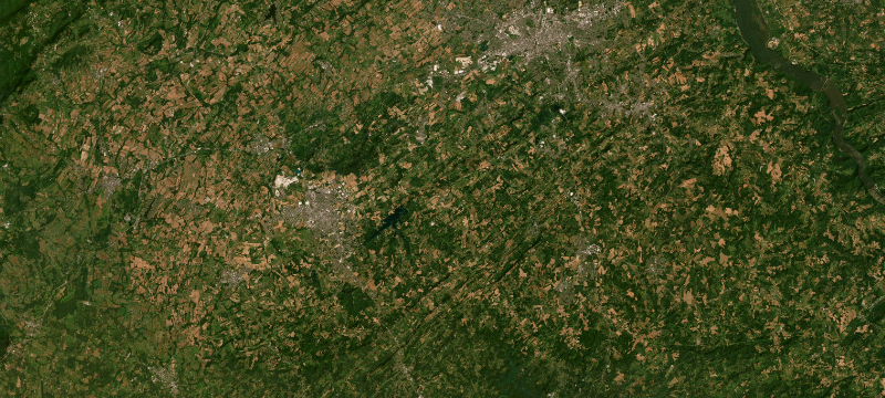 Satellite basemap of the case location