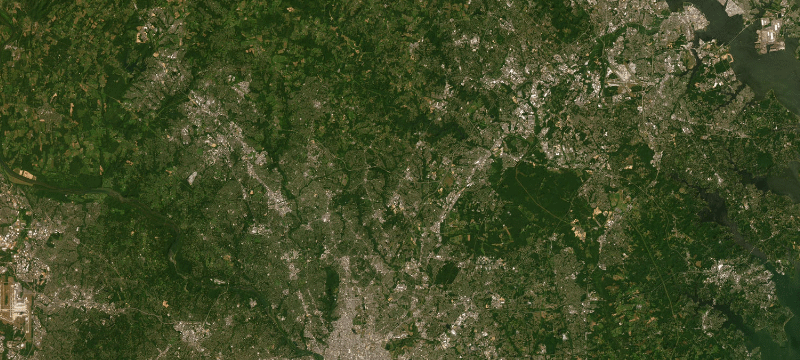 Satellite basemap of the case location