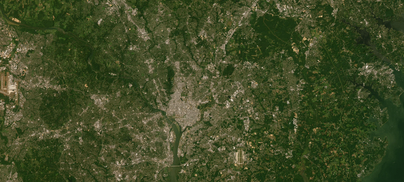 Satellite basemap of the case location