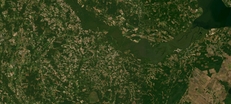 Satellite basemap of the case location